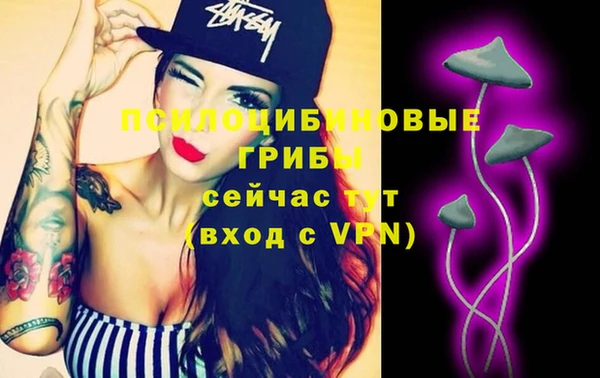 МДМА Козловка