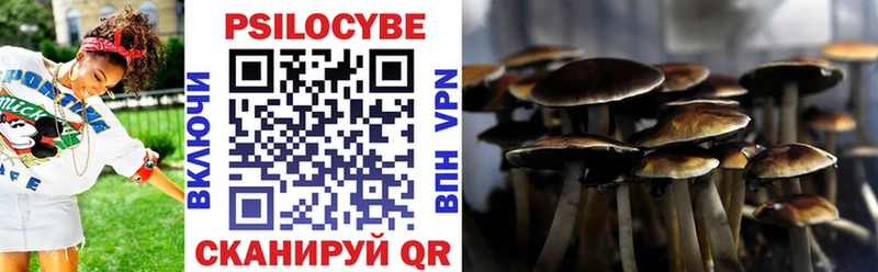 Галлюциногенные грибы Magic Shrooms  Купить  Приволжск 